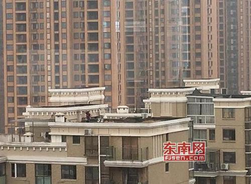 中國(guó)僑網(wǎng)祥榮荔樹灣小區(qū)(網(wǎng)友供圖)