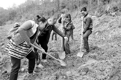 中國僑網(wǎng)種下“僑心林”