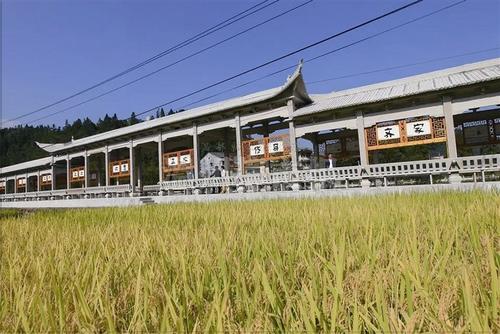 中國(guó)僑網(wǎng)