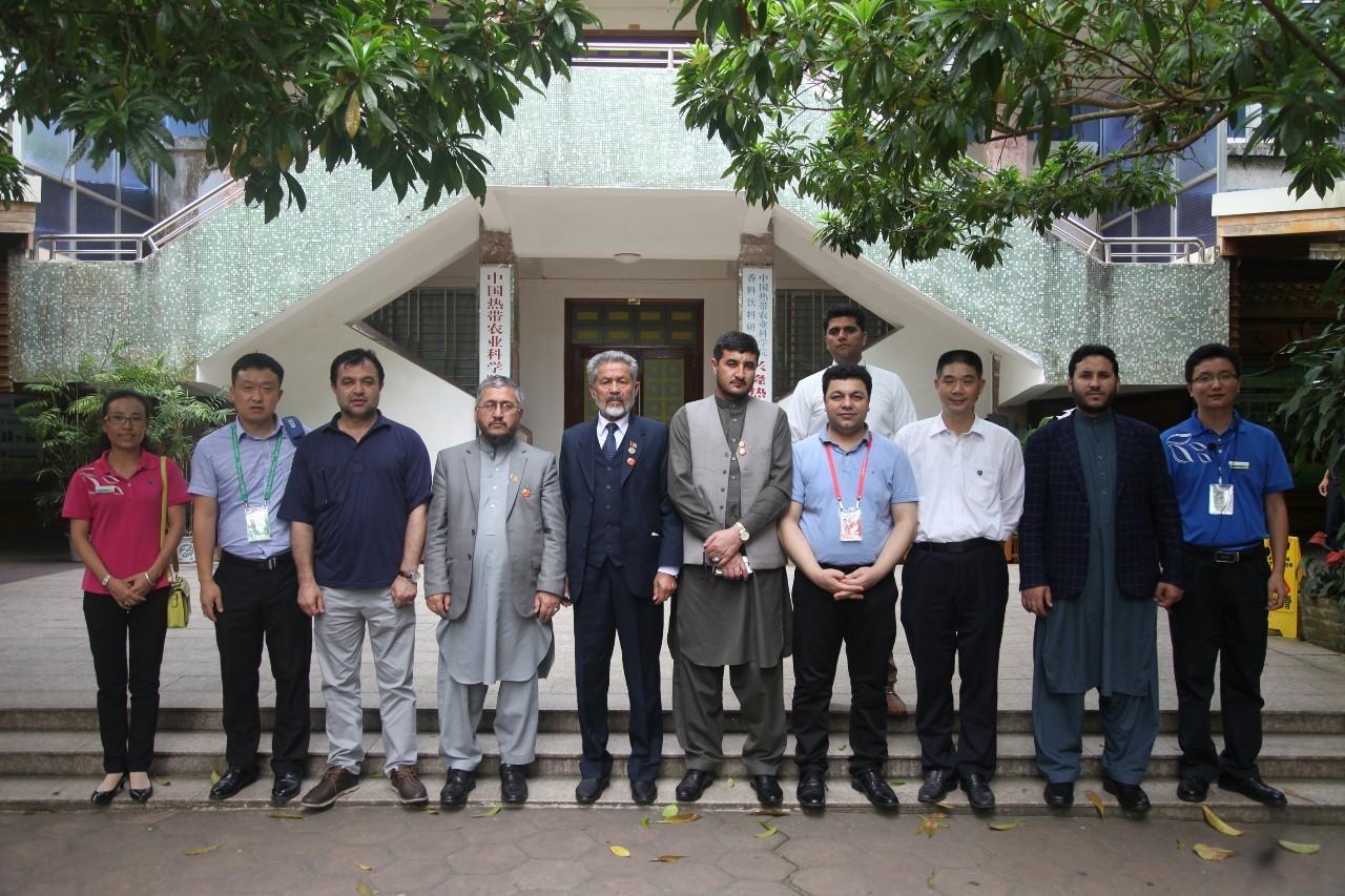 中國(guó)僑網(wǎng)