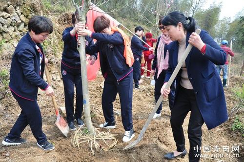 中國(guó)僑網(wǎng)(中國(guó)青田網(wǎng))