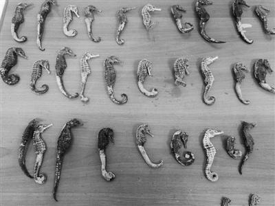 中國僑網(wǎng)(溫州網(wǎng))