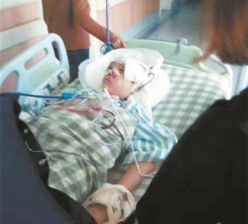 中國僑網(wǎng)截至發(fā)稿時,小雄仍未度過危險期。