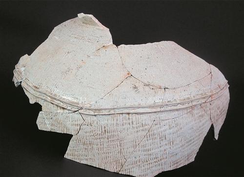 中國(guó)僑網(wǎng)永春苦寨坑原始青瓷窯址出土的青瓷尊殘片 (新華)