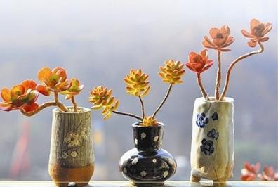 中國(guó)僑網(wǎng)