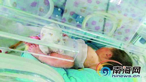 中國僑網(wǎng)資料圖。(圖片來源:南海網(wǎng))