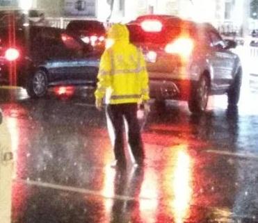 中國僑網(wǎng)(《南國都市報》圖片)