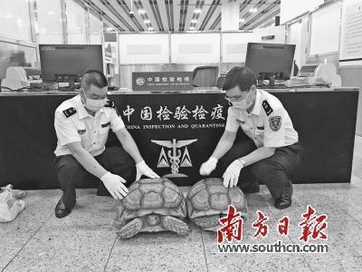 中國(guó)僑網(wǎng)