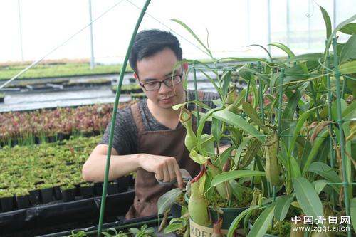 中國(guó)僑網(wǎng)