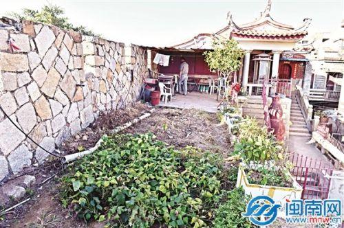 中國(guó)僑網(wǎng)古城墻上被占地種菜