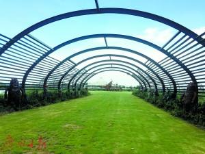 中國僑網(wǎng)佛山休閑農(nóng)業(yè)方興未艾