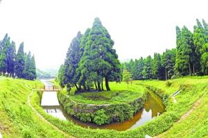 中國僑網(wǎng)墨綠色的圣誕林讓人仿佛置身于某個(gè)歐洲小鎮(zhèn)。