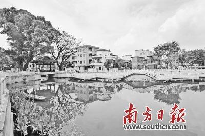 中國(guó)僑網(wǎng)南莊龍津村改造后環(huán)境優(yōu)美的良寶維則公園。 戴嘉信 攝