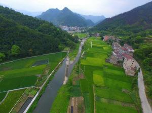 中國(guó)僑網(wǎng)