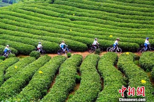 中國僑網(wǎng)圖片來源中新網(wǎng)。高曉苗 攝