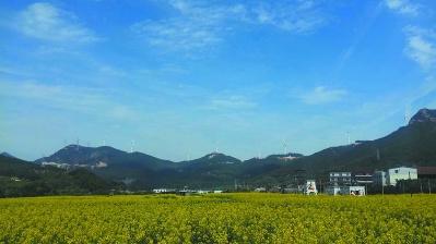 中國(guó)僑網(wǎng)