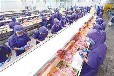 中國(guó)僑網(wǎng)