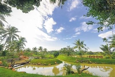 中國僑網(wǎng)文昌潭牛鎮(zhèn)大廟村一景。 本報(bào)記者 袁琛 攝