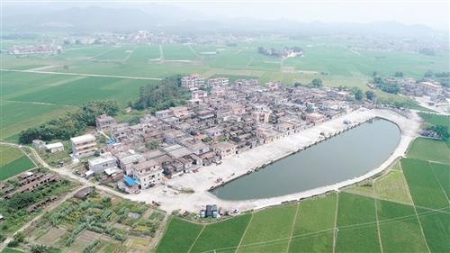 中國僑網(wǎng)在杰出僑胞及外出鄉(xiāng)親的捐資支持下,高聯(lián)村新農(nóng)村建設日新月異。