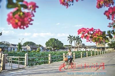 中國(guó)僑網(wǎng)龍湖鎮(zhèn)銀湖村容村貌