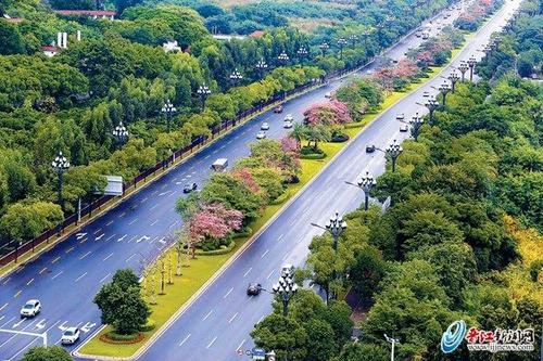 中國(guó)僑網(wǎng)