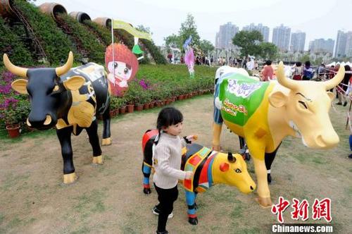 中國僑網(wǎng)張金川 攝