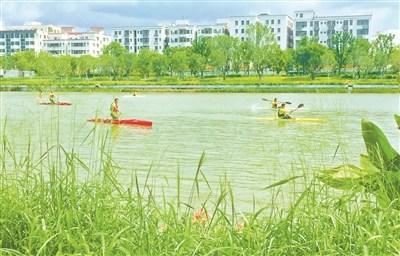 中國僑網圖/廣州日報全媒體記者廖雪明