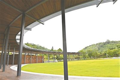 中國(guó)僑網(wǎng)三山森林公園 廣州日?qǐng)?bào)全媒體記者陳楓 實(shí)習(xí)生李洲湳攝