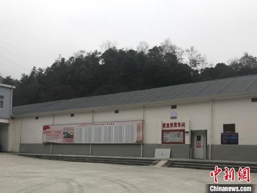 中國僑網(wǎng)就業(yè)扶貧車間 趙強(qiáng) 攝