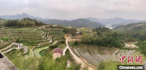 中國僑網(wǎng)浙江青田石溪鄉(xiāng)黃山壟村 曾子平供圖