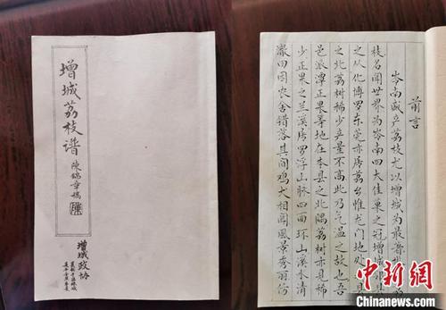 中國僑網(wǎng)陳錦章手寫的《增城荔枝譜》(資料圖) 廣州市增城區(qū)委宣傳部 供圖