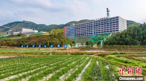 中國僑網(wǎng)廣州金農(nóng)增城現(xiàn)代生態(tài)農(nóng)牧一體化產(chǎn)業(yè)基地 廣州市增城區(qū)委宣傳部 供圖