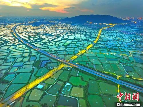 中國(guó)僑網(wǎng)佛山南海西樵桑基魚塘 佛山南海區(qū)委宣傳部 供圖