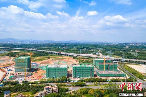 中國僑網(wǎng)位于佛山市三水區(qū)云東海街道的廣東醫(yī)谷·云東海生命科學(xué)園正在建設(shè)中 佛山市三水區(qū)委宣傳部 供圖
