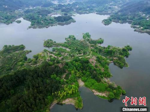 安徽岳西有機茶田航拍：一屏展卷 只此青綠