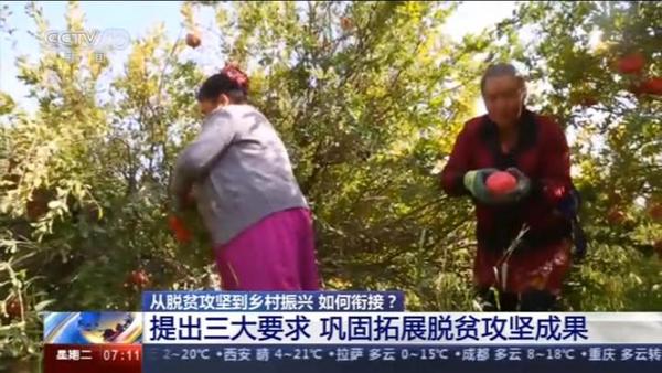 從脫貧攻堅到鄉(xiāng)村振興 如何銜接？