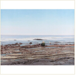 <strong>漁翁與野鶴</strong><br>王岳（美國(guó)）