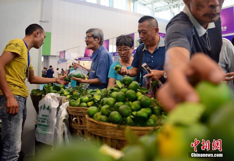 臺(tái)灣貴妃青橙受到市民熱捧