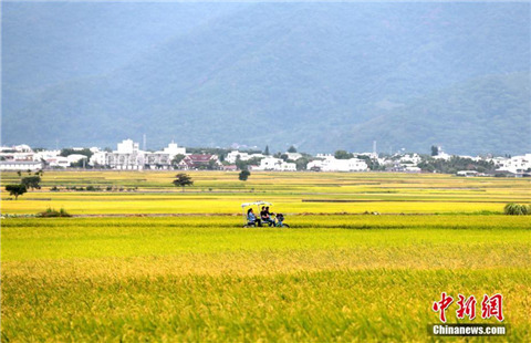 今年政府工作報(bào)告為何沒(méi)提“九二共識(shí)”？