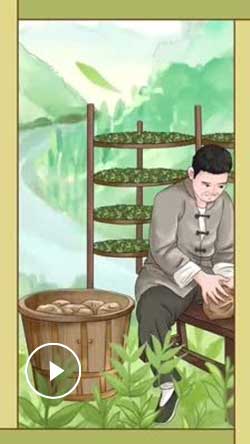 解碼中華文化基因：一根竹子，還能干這么多事！