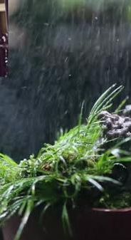 解碼中華文化基因：這么小的園林，憑啥這么火？