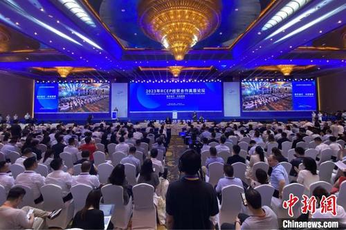 中國僑網(wǎng)2023年RCEP經(jīng)貿(mào)合作高層論壇在山東青島開幕。 王愷 攝