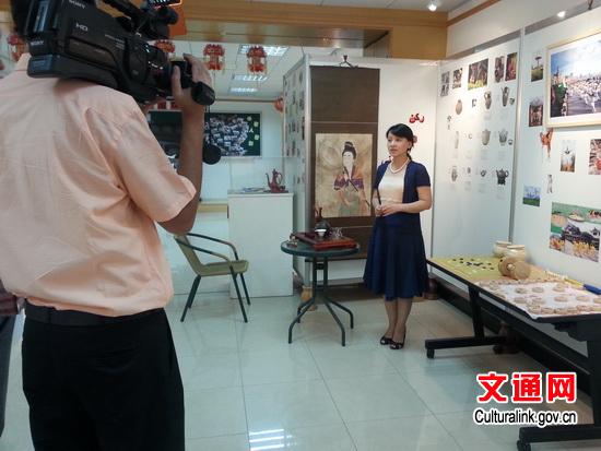 陳冬云參贊介紹中國(guó)小屋