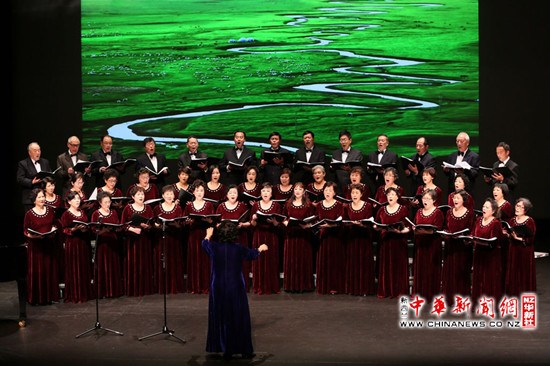 中國僑網(新西蘭中華新聞網)