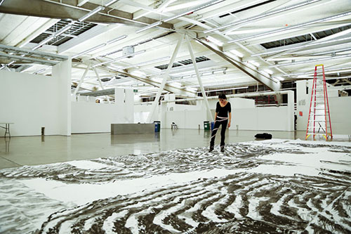 中國僑網(wǎng)藝術(shù)創(chuàng)作中的田海穌。