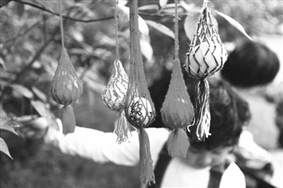 中國僑網(wǎng)立夏蛋