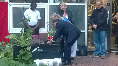 趙軍大使和帕米拉一起種下象征友誼的銀杏樹