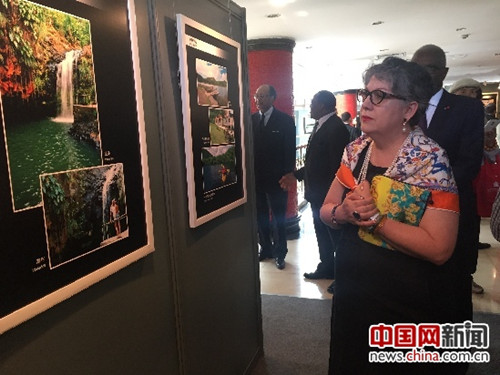 “加勒比國家文化圖片展”在北京市友協(xié)開幕(雷瀅