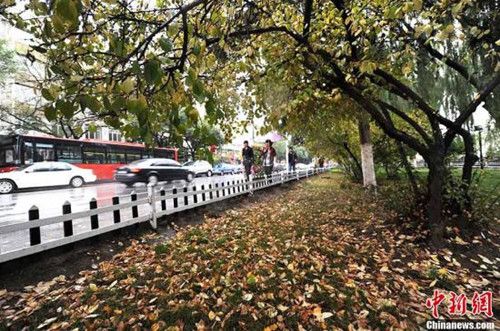 (資料圖:中新網(wǎng)記者