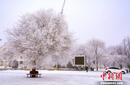 中國僑網(wǎng)(資料圖:中新網(wǎng)記者王文浩 攝)